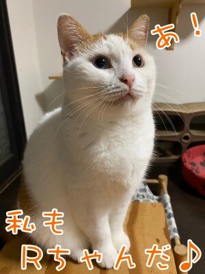 りよ313