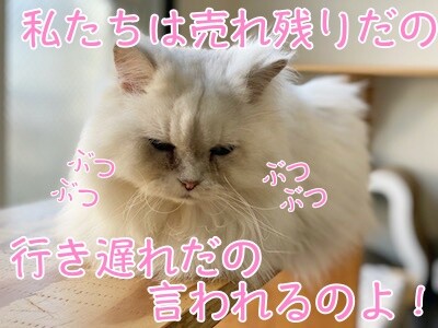 らん25