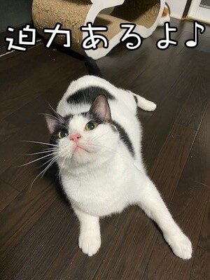 渾63