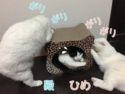 みんな916