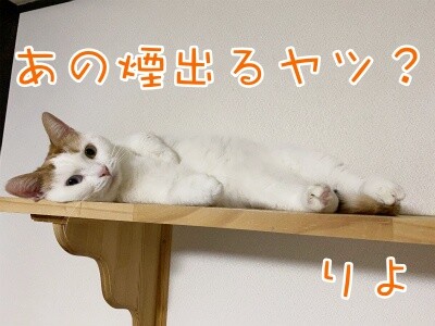 りよ217
