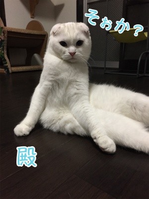 殿21