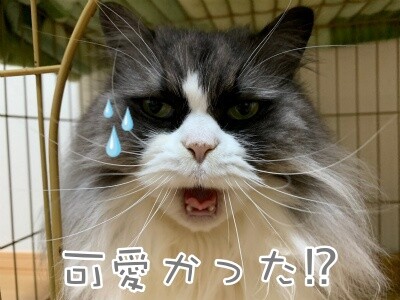るひあ95
