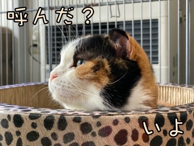 いよ478