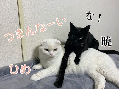みんな1457