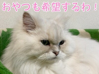 らん251