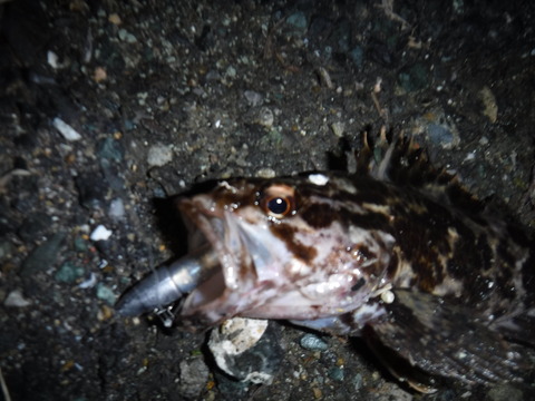 DSCF1087