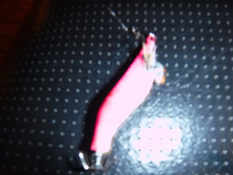 DSCF0846