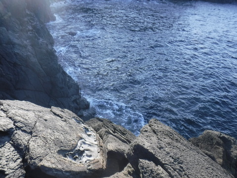DSCF1161