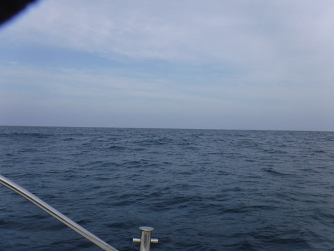 DSCF0974