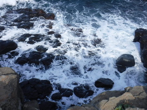 DSCF1133