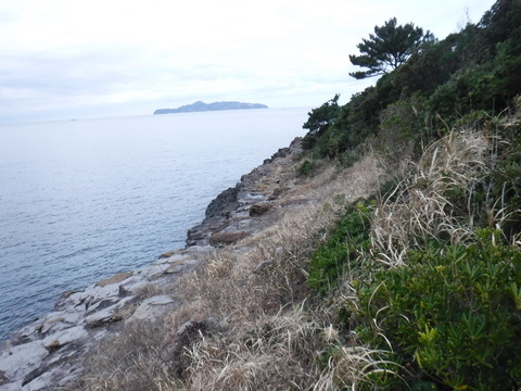 DSCF1343