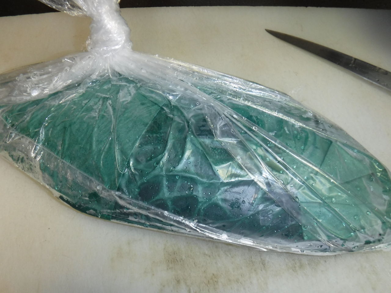魚を扱う人間が考える熟成を前提にした魚の処理 デッドオアアライブ釣行記 魚を扱う人間が考える熟成を前提にした魚の処理 デッドオアアライブ釣行記