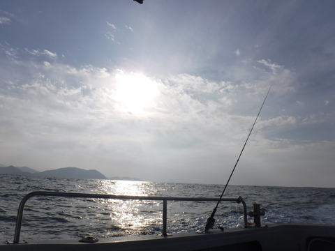 DSCF0988