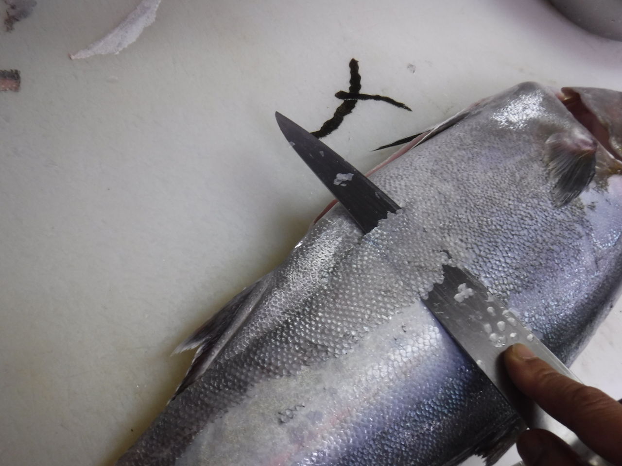 魚を扱う人間が考える熟成を前提にした魚の処理 デッドオアアライブ釣行記