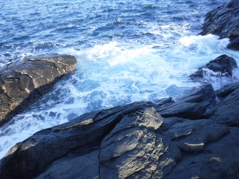 DSCF1164