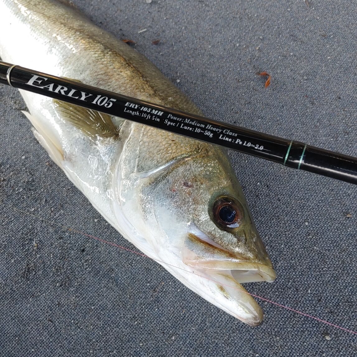 ★☆【ヤマガブランクス】 アーリー ERY-105MH フォーサーフ YAMAGA Blanks EARLY for Surf シーバス ヒラ