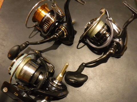 3年目の16セルテートとシーバスリール遍歴 デッドオアアライブ釣行記 3年目の16セルテートとシーバスリール遍歴 デッドオアアライブ釣行記