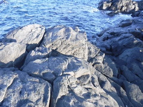 DSCF1167