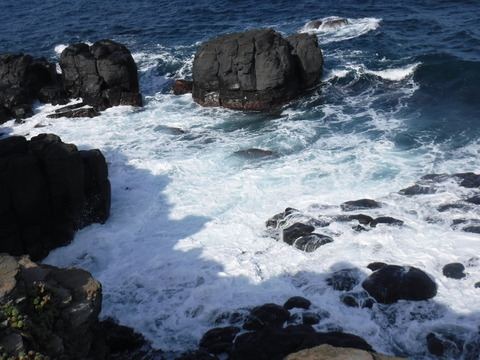 DSCF1136