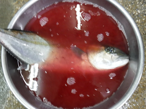DSCF0508