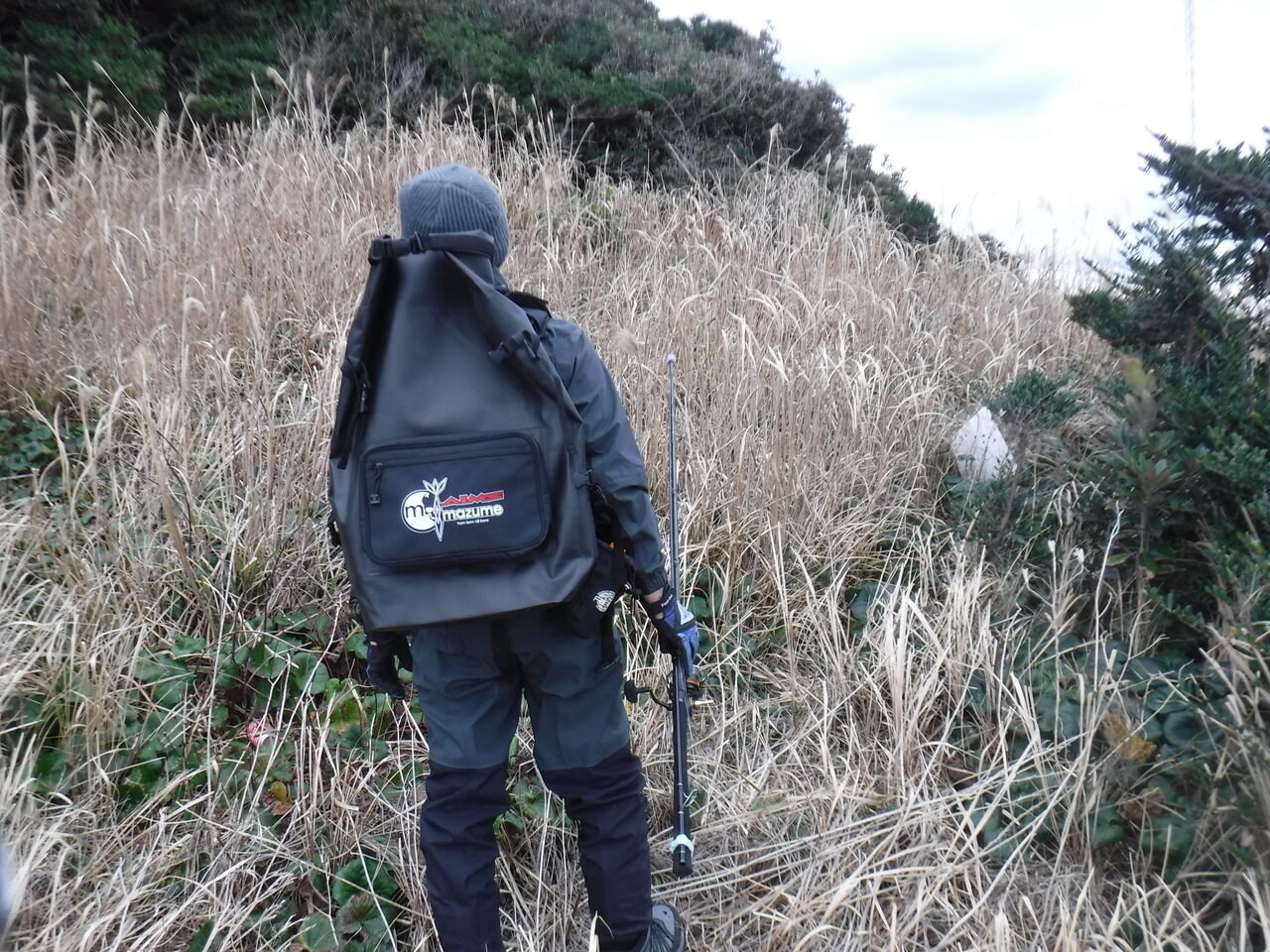 磯ヒラへの道 ーベイト探し編ー デッドオアアライブ釣行記 磯ヒラへの道 ーベイト探し編ー デッドオアアライブ釣行記