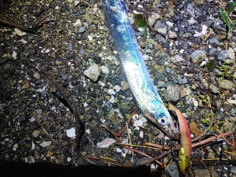 IMG00783_HDR