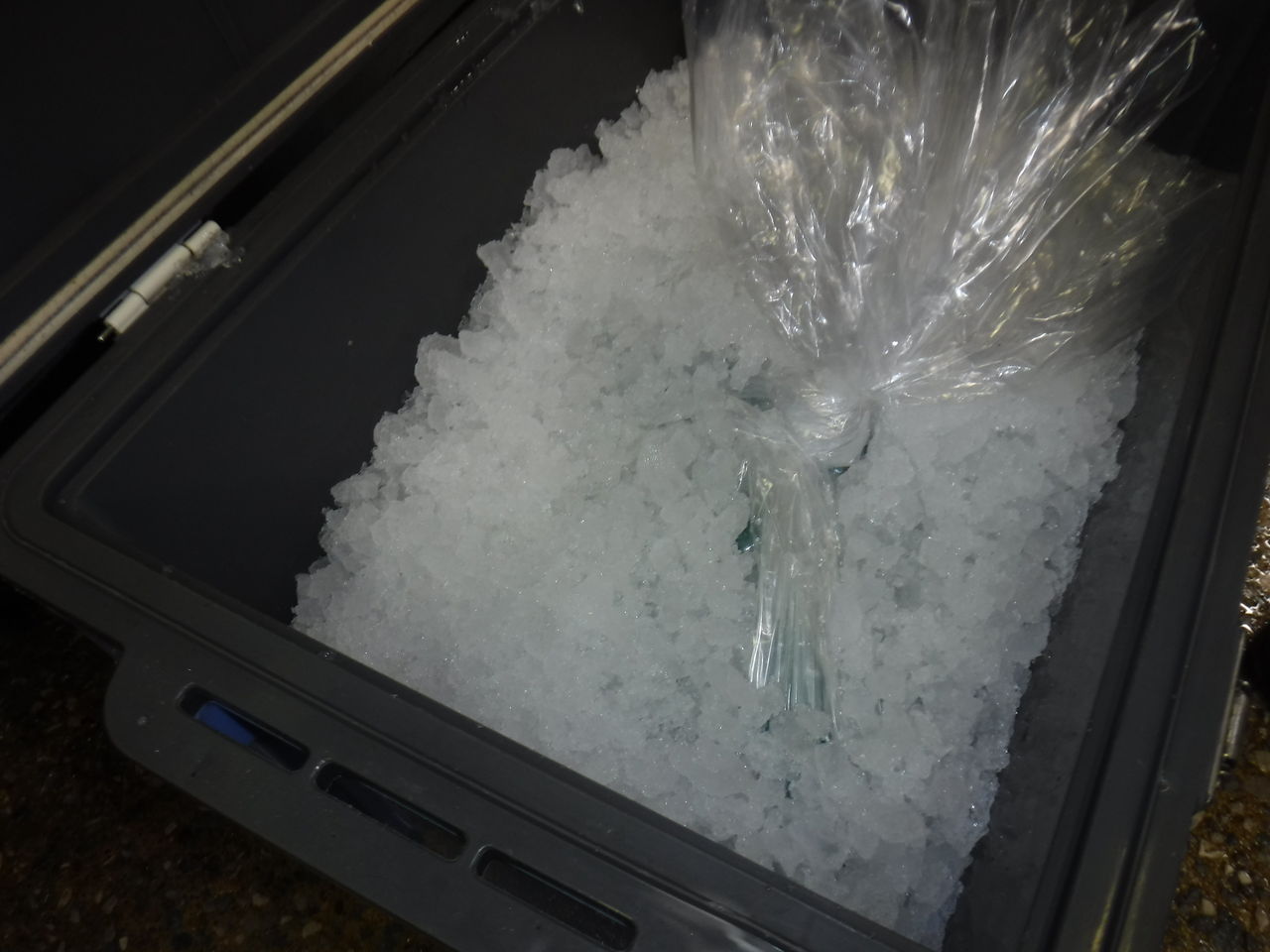 魚を扱う人間が考える熟成を前提にした魚の処理 デッドオアアライブ釣行記 魚を扱う人間が考える熟成を前提にした魚の処理 デッドオアアライブ釣行記
