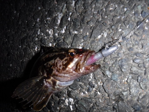 DSCF1088