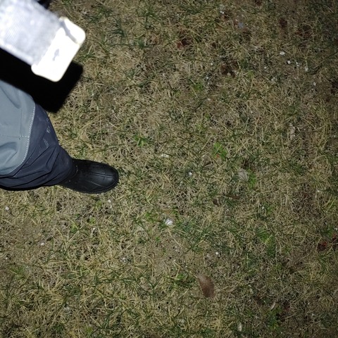 IMG02202