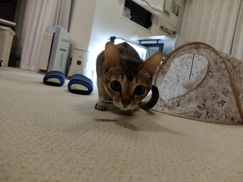 DSCF5477