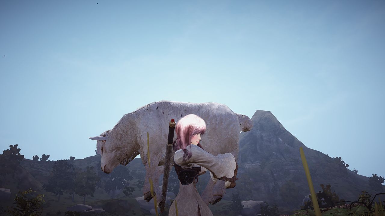 黒い砂漠 羊 Catcoin の 黒い砂漠 冒険記