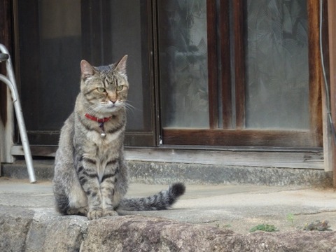 onomichi10