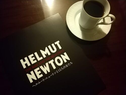 どんな過酷な状況にあっても心の気高さは失うな ヘルムート ニュートン 猫とデニムとハイヒール