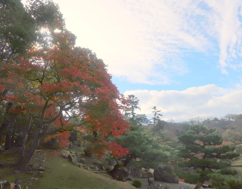 １１３　玄宮園と彦根城