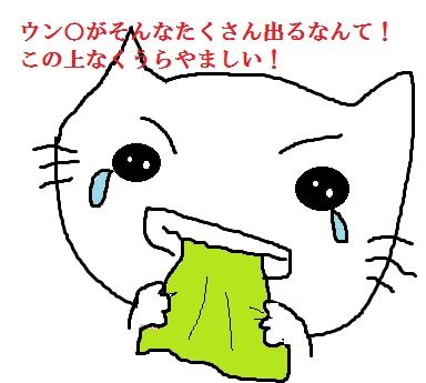 ウンチ