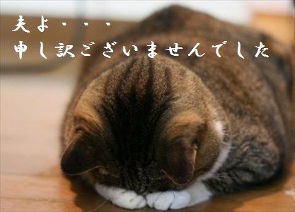kun05_R_20150813133415f78.jpg