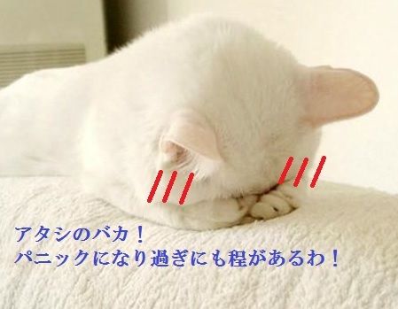 img_0_201508181742291fd.jpg