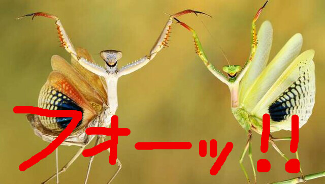BlogPaint