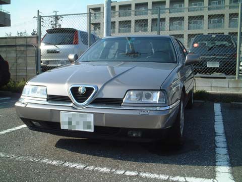 49fd39f9.JPG
