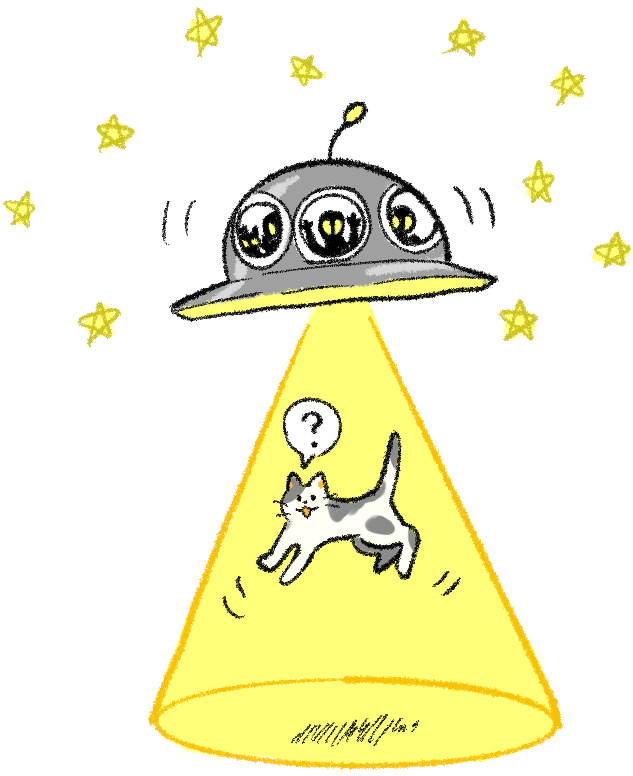 年11月 無料イラスト フリー素材 しろくまとねこ 年11月 無料イラスト フリー素材 しろくまとねこ