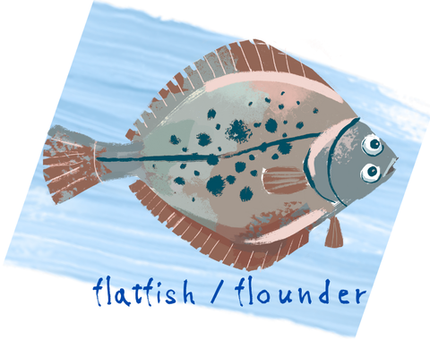flatfish flounder
