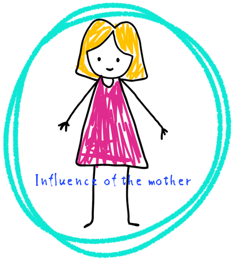 Influence of the mother