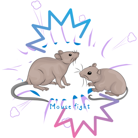 Mouse fight