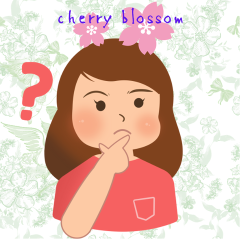 cherry blossom