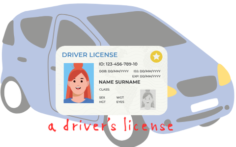 a driver's license