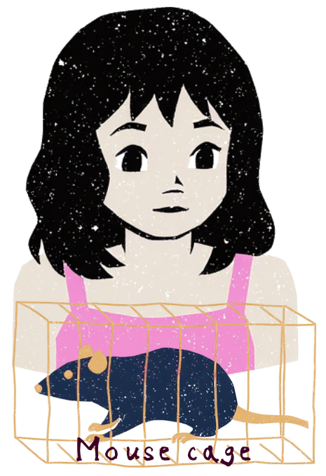 Mouse cage