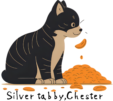 Silver tabby,Chester