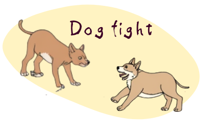 Dog fight