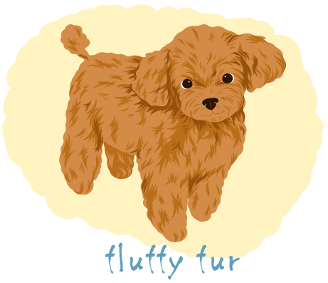 fluffy fur